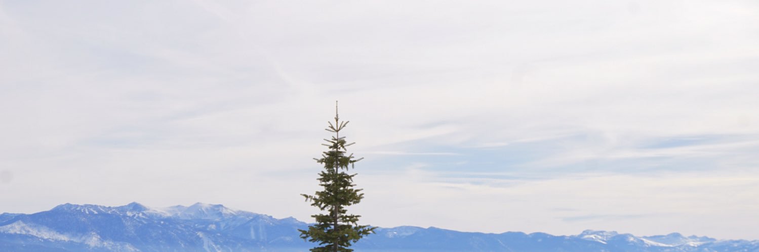 moshjorrison's profile banner image