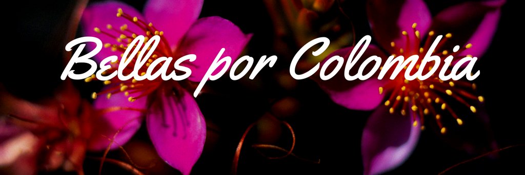 BellasPorColomb's profile banner image