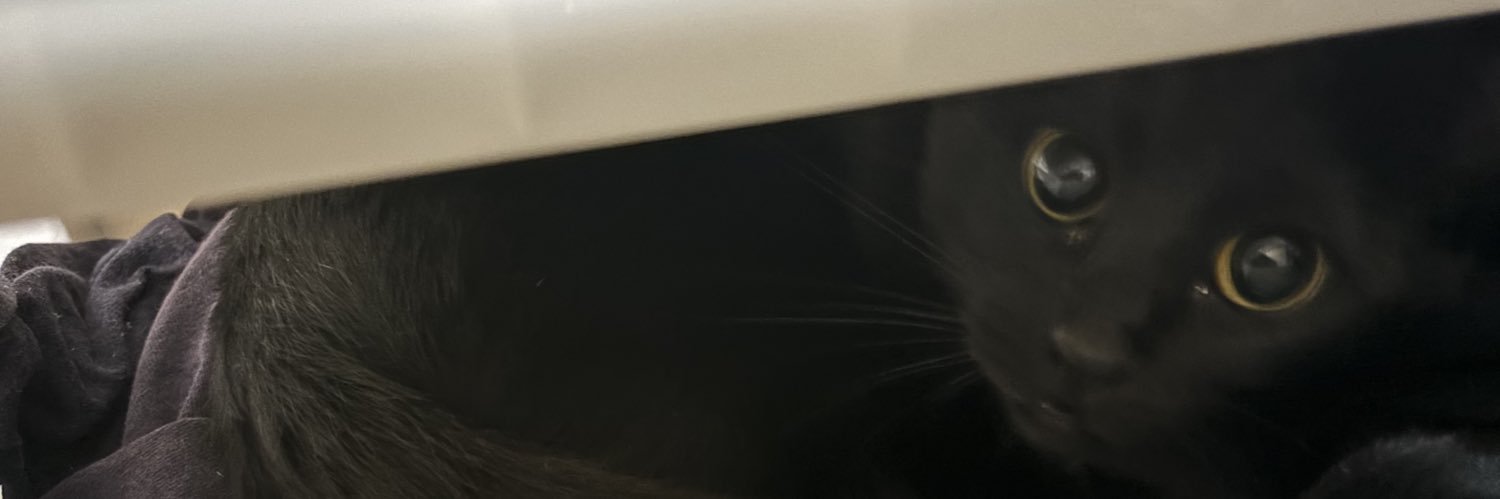 SMSRSNGKOTM's profile banner image