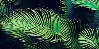 dannfabela's profile banner image