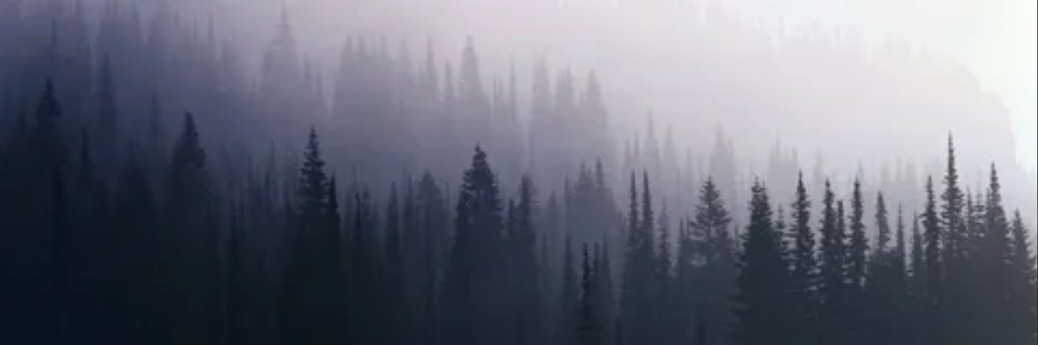 sonyahuery's profile banner image