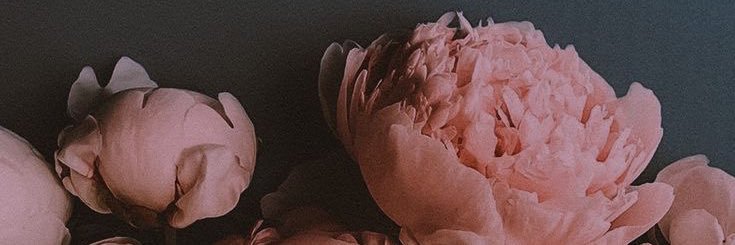 jgabme's profile banner image