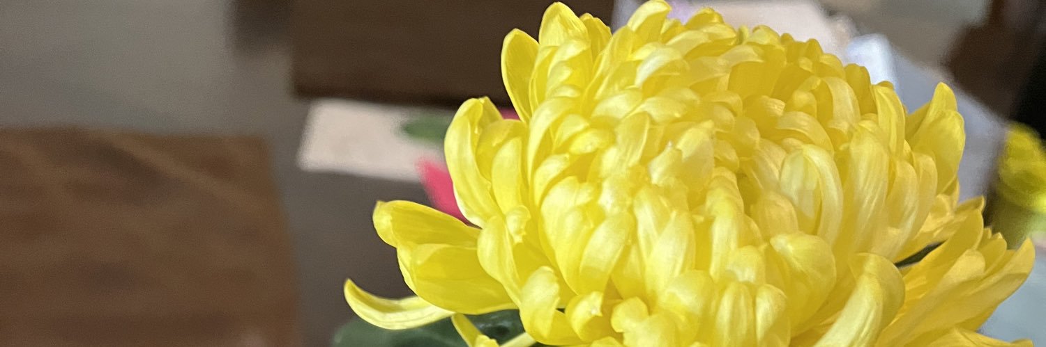 beckawreckaaa's profile banner image