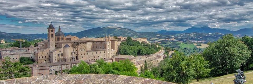FergusonBernini's profile banner image
