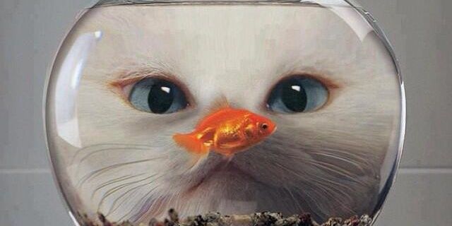 chinggg_t's profile banner image