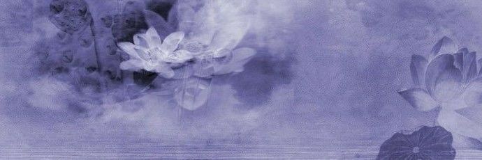 Jisoo banner