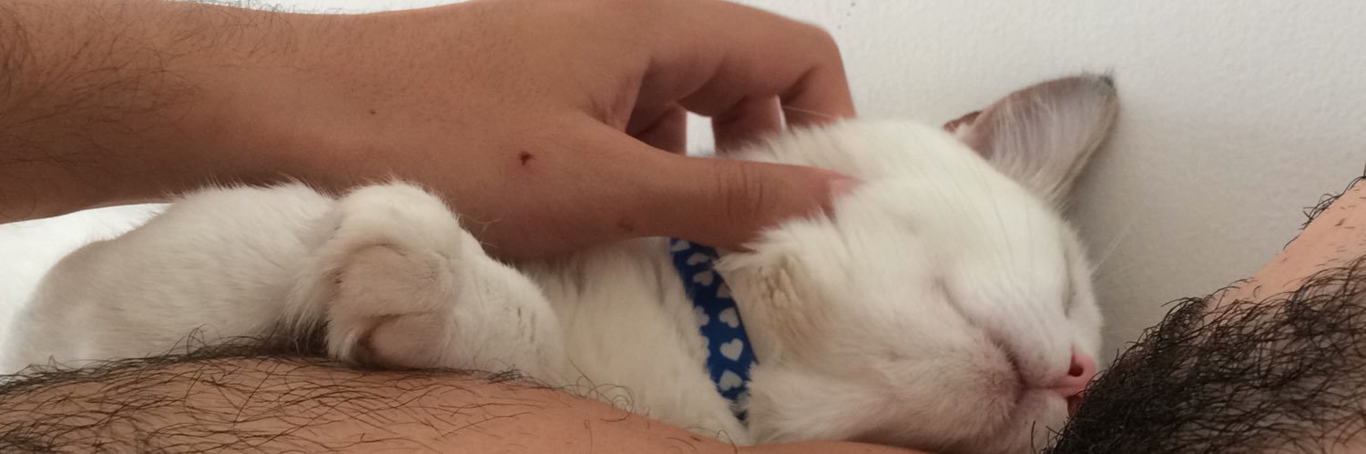 mesciascat's profile banner image