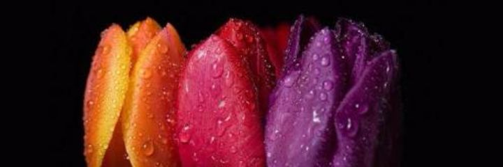 KeyGaSantiago's profile banner image