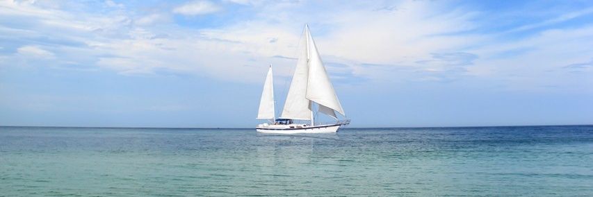 冷やしあめ banner