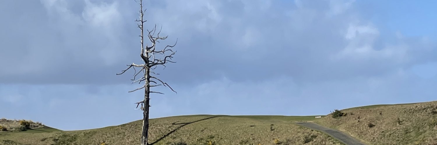 X banner