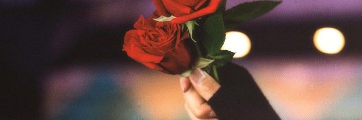 gzrirann's profile banner image