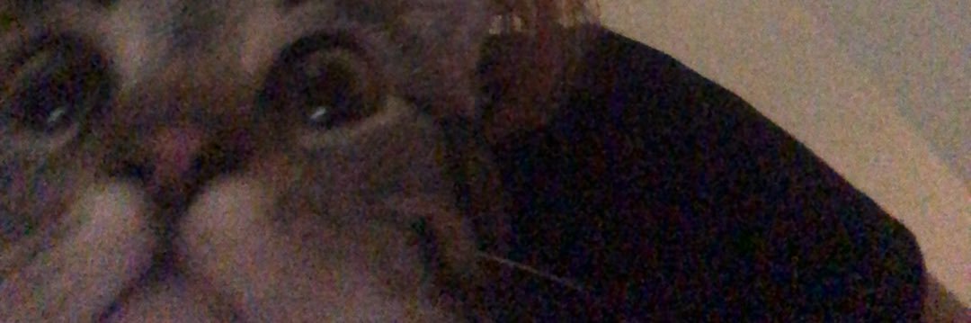 capri__bby's profile banner image