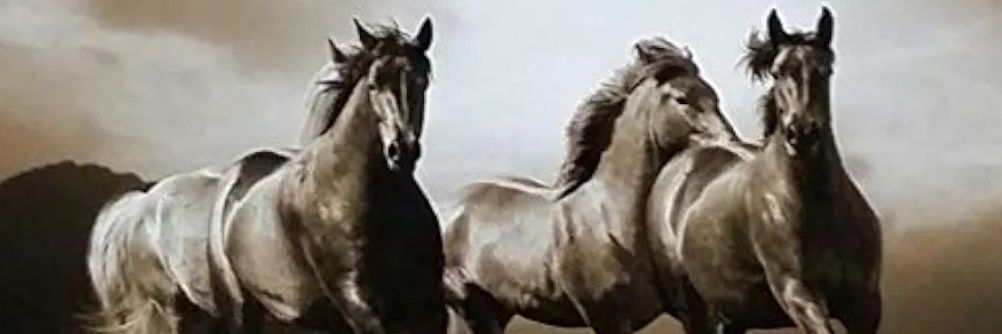 jiyad's profile banner image