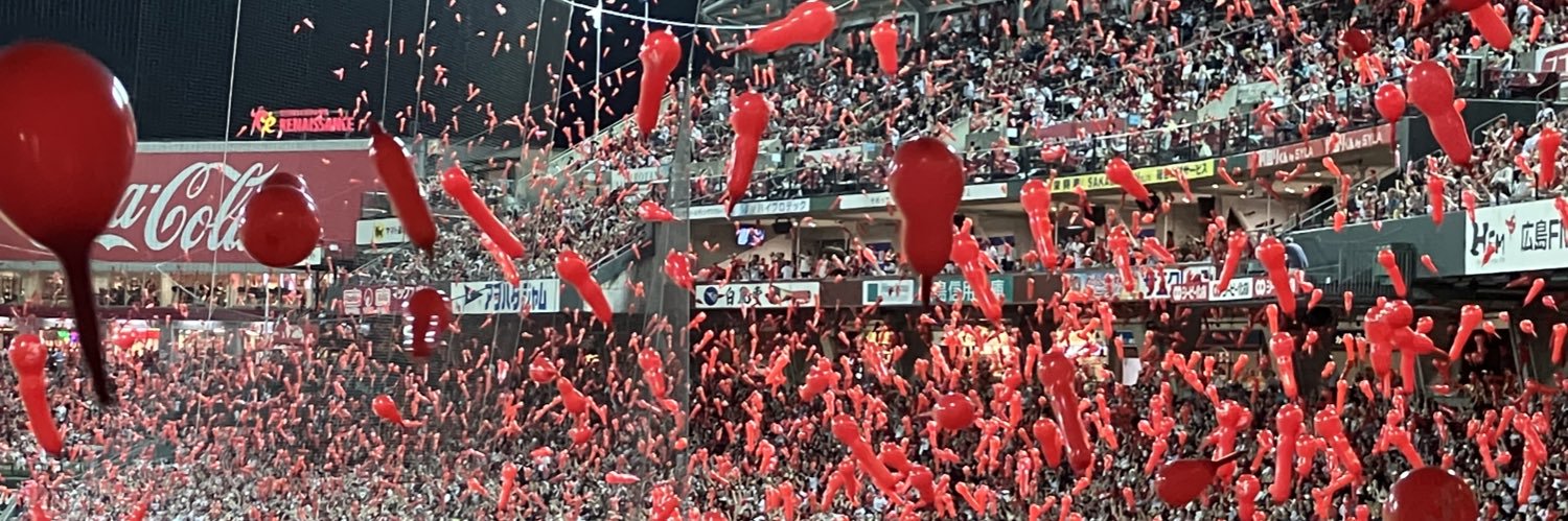 mke91carp's profile banner image