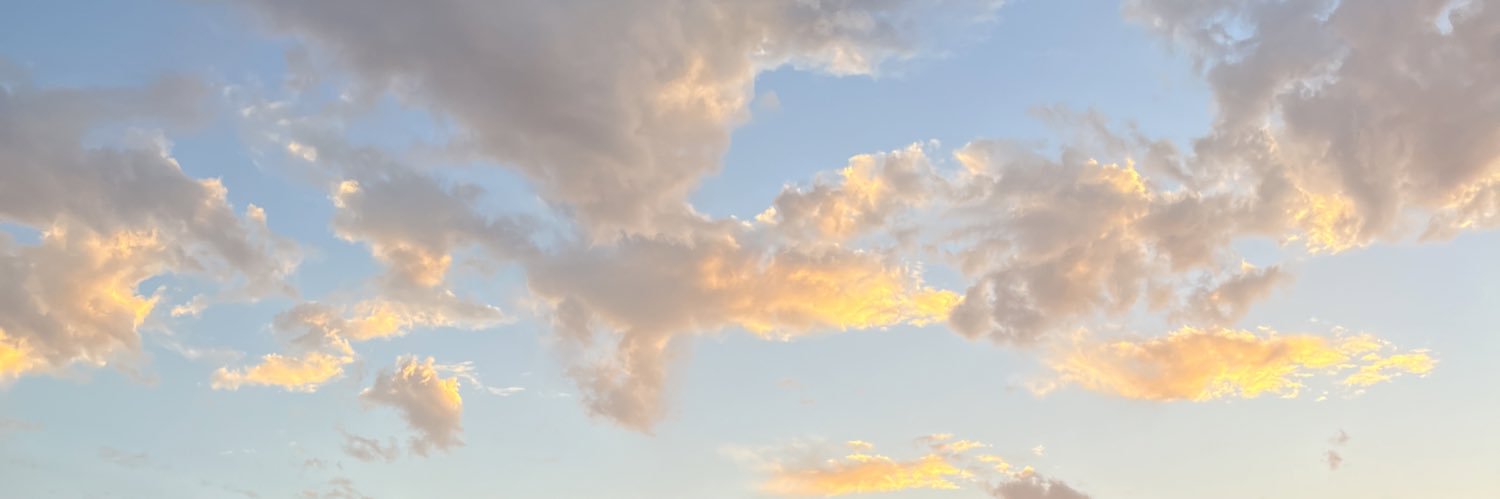 aleearguumedoo's profile banner image