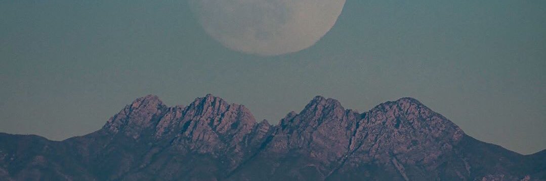 melissaN_17's profile banner image