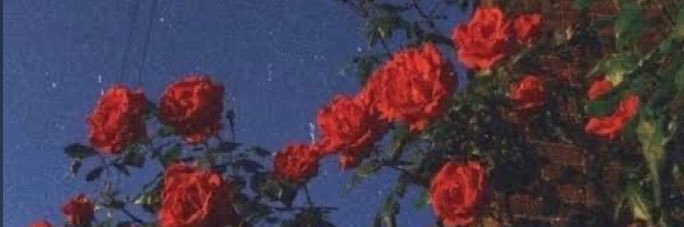 oktora__'s profile banner image