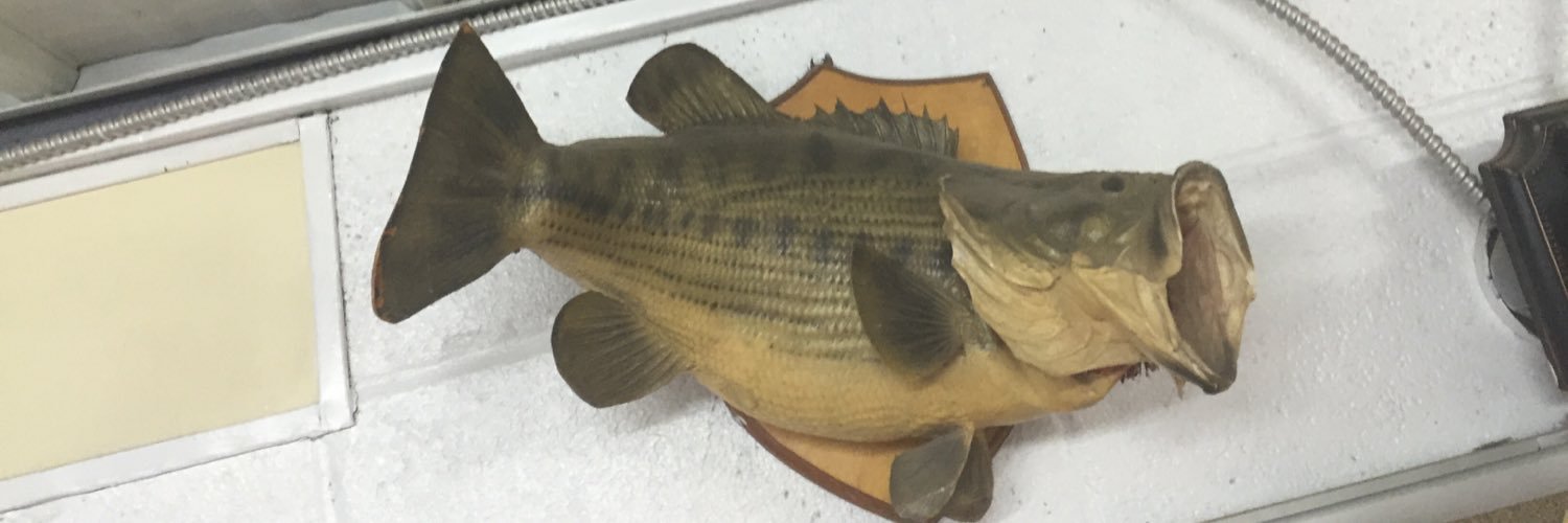 PhilipShellhaas's profile banner image