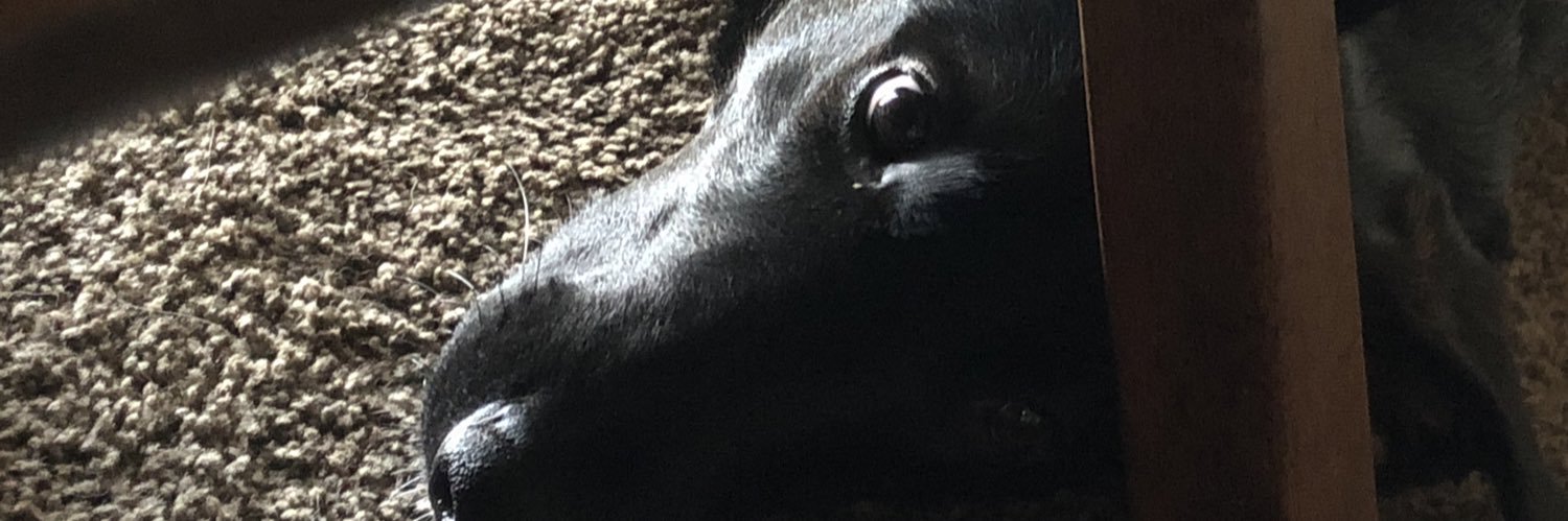 Kay_Tee_4's profile banner image