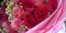 susi_astur's profile banner image