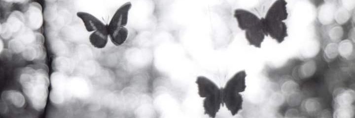 jeni_balar's profile banner image