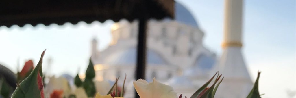 ix12344's profile banner image