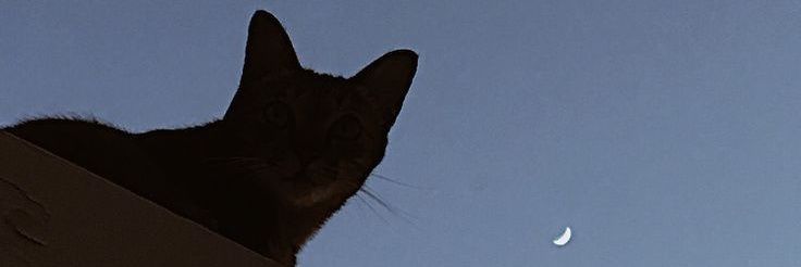 Noel_R27's profile banner image