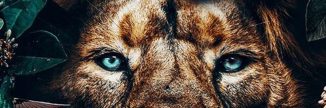 اياس أناس banner