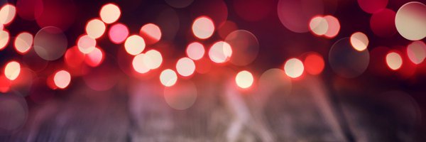 scharler Profile Banner