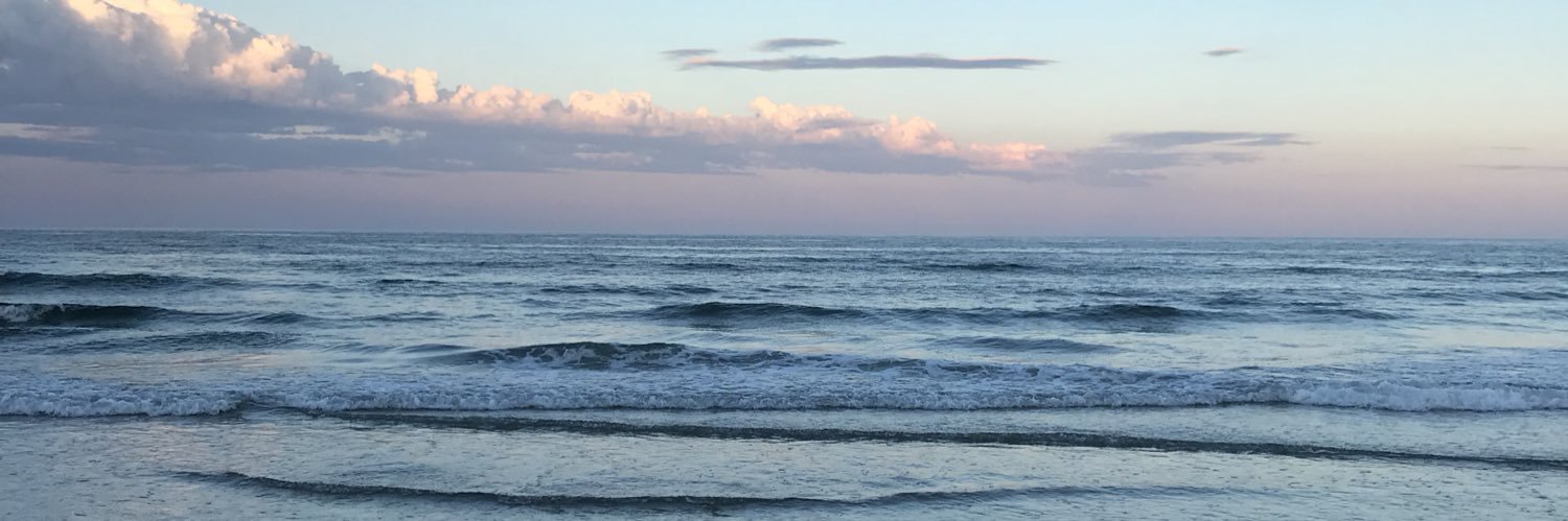 Michellerileyyy's profile banner image