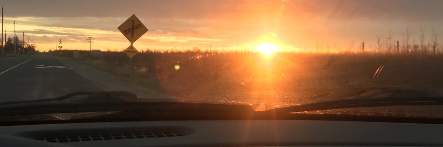 juliachebott's profile banner image