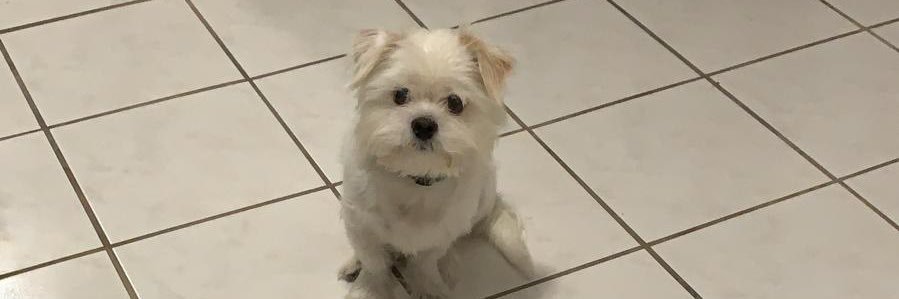 aivette33's profile banner image