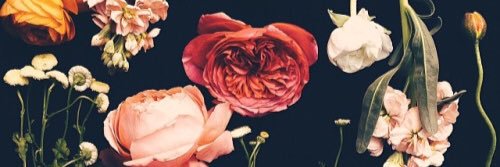 vivasvrvh's profile banner image