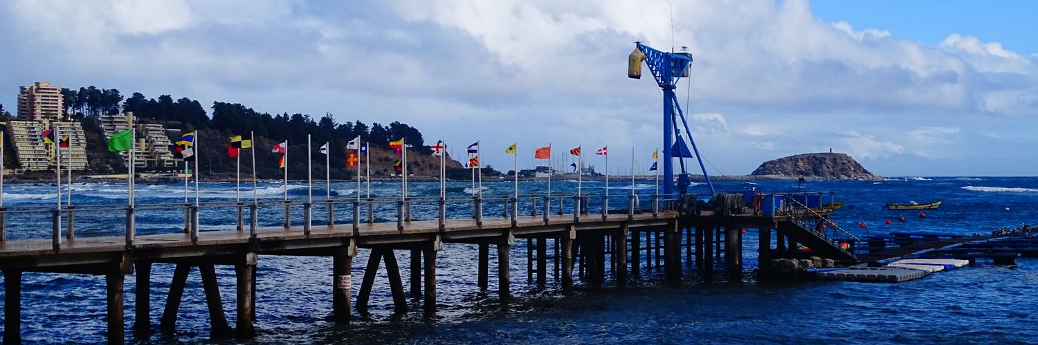 AlgarrobodeChile 🇨🇱 banner