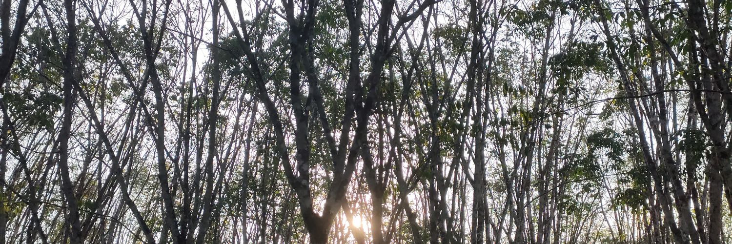bicaraaaa's profile banner image