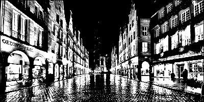 Flower_name_'s profile banner image