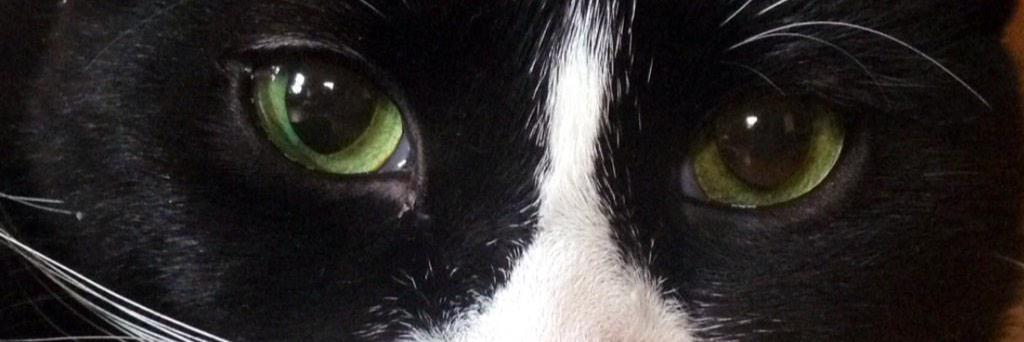 BownWatr's profile banner image