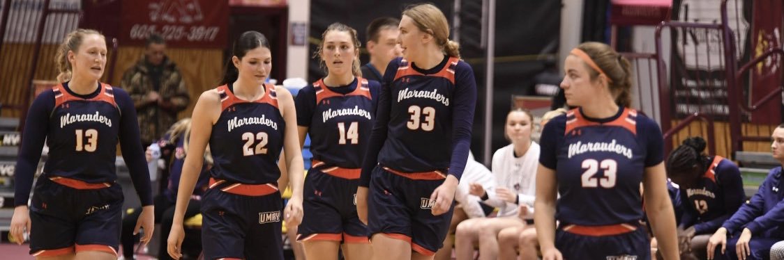 Megan Voit banner