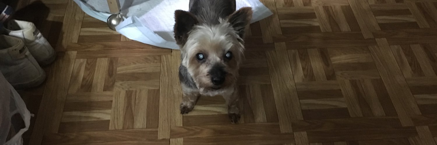 🦋Lee🙏❤️🇺🇸 banner