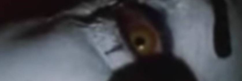 Buffybot929's profile banner image