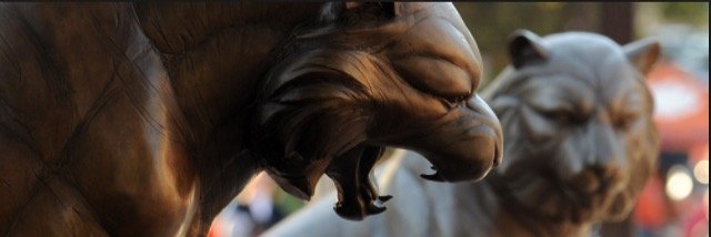 dzboland's profile banner image