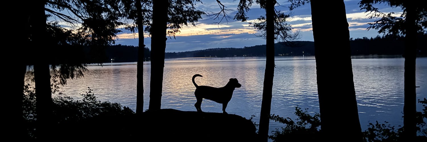 BurntOutFlicka's profile banner image