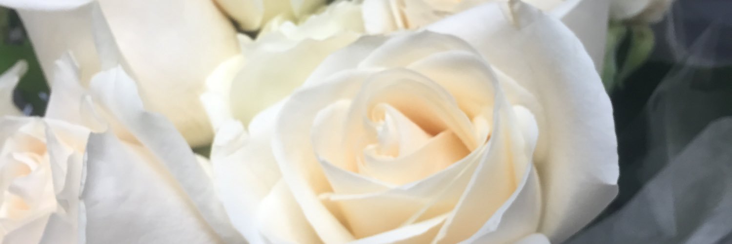 pineappletibs's profile banner image