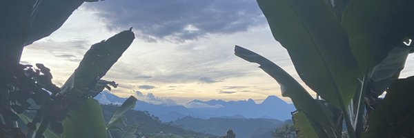 stamourla Profile Banner