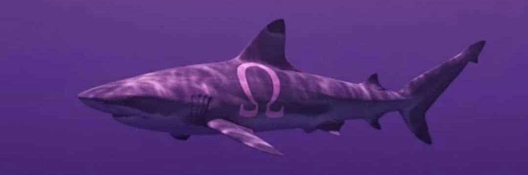 drewjack1k_'s profile banner image