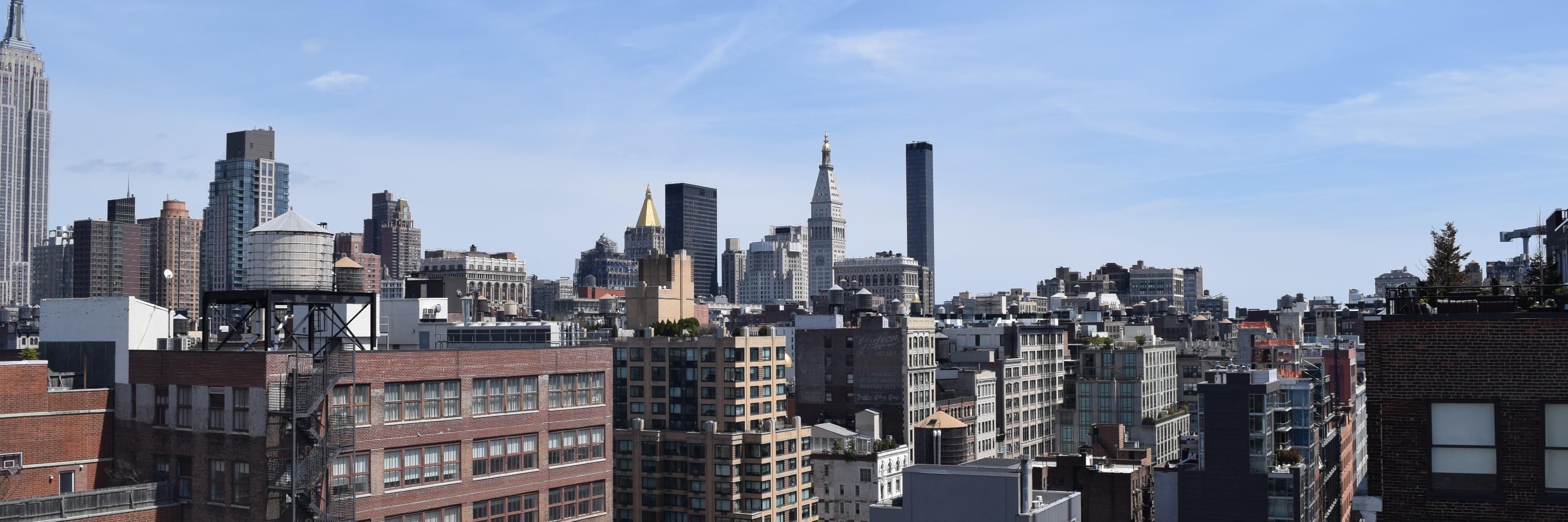 Mayada Gonimah banner