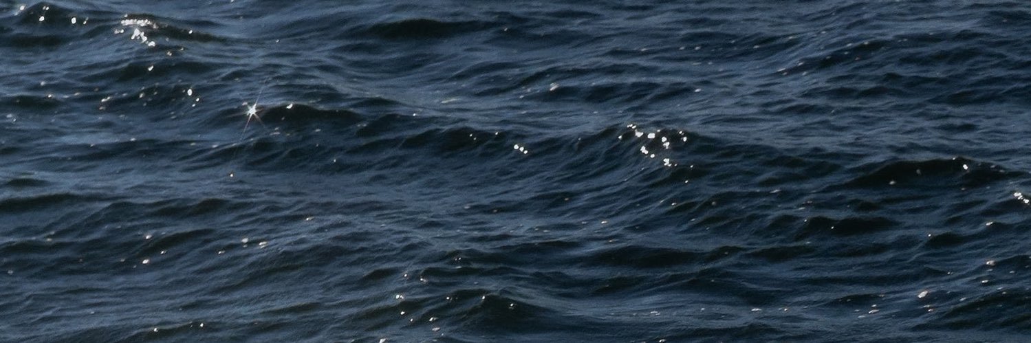 pppppaloy's profile banner image