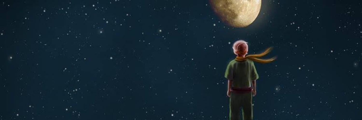 rocheberducido's profile banner image
