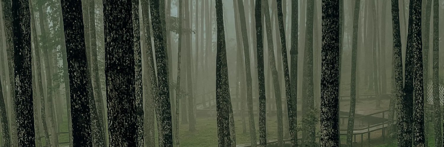 lookcemara's profile banner image