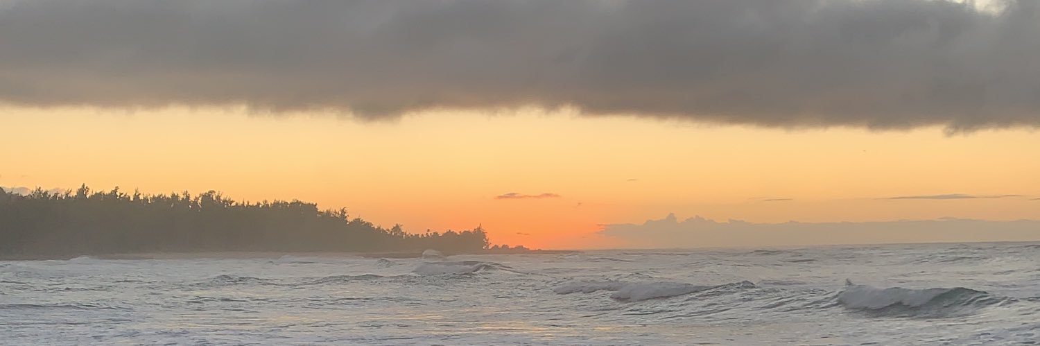 JaylonNelson's profile banner image